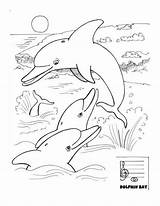 Dolphin Did Many Coloring sketch template