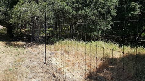 Deer Fences