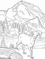 Glacier Bighorn Coloriage Nationale Parken Ausmalbilder Kleurplaten Glaciares Supercoloring Kleurplaat Parques Yellowstone Nacionales Staaten Vereinigten Nationalparks Guell Mandala Zo Malvorlage sketch template