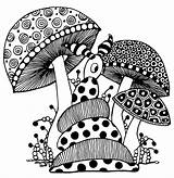 Mushroom Mushrooms Zentangle Doodles Trippy Zentangles Doodling sketch template
