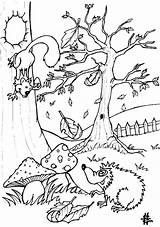 Coloring Hedgehog Pages Color Animals sketch template