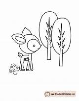Coloring Woodland Pages Creatures Printable Popular sketch template