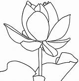 Lotus Coloring Pages Printable Flower Kids Flowers Bestcoloringpagesforkids Color Sheets Getcolorings Popular sketch template