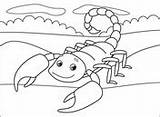 Coloring Scorpion Pages Spiders sketch template