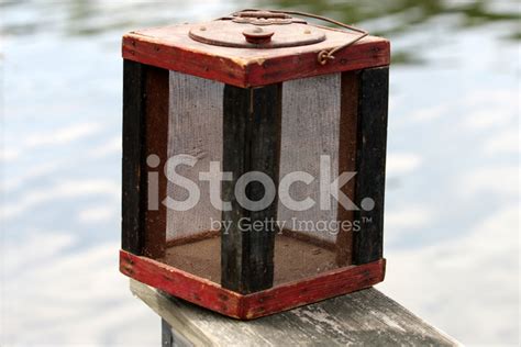 antique cricket box stock photo royalty  freeimages