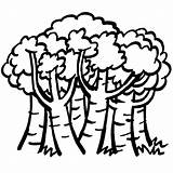 Dibujos Matorrales Bosques Cuentos Cortos Arbusto Recuperacion Jornadas Guiainfantil Usal sketch template