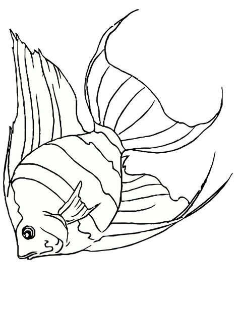 sea creature templates printable crafts colouring pages