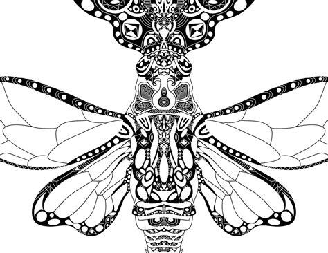bug coloring page etsy
