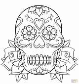 Skull Roses Coloring Sugar Pages Calavera Drawing Rose Printable Simple Getdrawings Print Templates Color Raffle Template Book Outline Paper Public sketch template