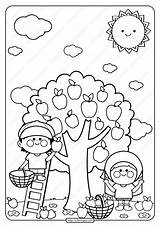 Coloring Picking Orchard Preschool Coloringoo sketch template