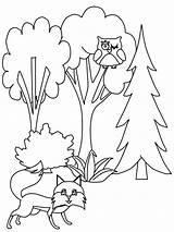 Coloring Pages Trees Tree Book Printable Pine Fall Kids Print Natural Tree8 Coloringpagebook Coloringhome Popular Da Advertisement Related sketch template