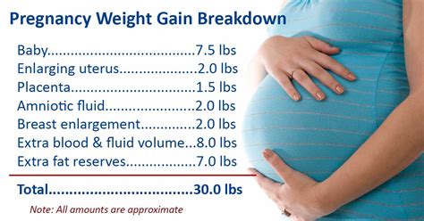 how much weight should i gain at 15 weeks pregnant beauty clog