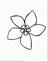Flower Jasmine Coloring Pages Drawing Outline Drawings Hawaiian Rainforest Flowers Simple Plumeria Jungle Clipart Edelweiss Plants Dessin Coloriage Kids Clip sketch template