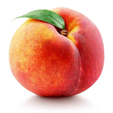 peach anzac dwarf fruit trees dwarf garden world