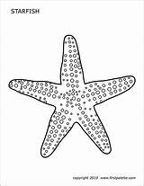 Starfish Template Printable Drawing Coloring Pages Templates Octopus Paintingvalley Firstpalette sketch template