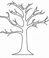 Tree Leaves Without sketch template