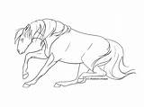 Horse Reining Sliding Stop Drawing Lineart Deviantart Getdrawings sketch template