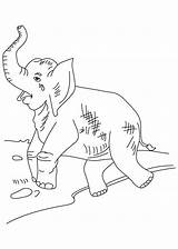 Coloring Elephant Crying Bath Popular sketch template