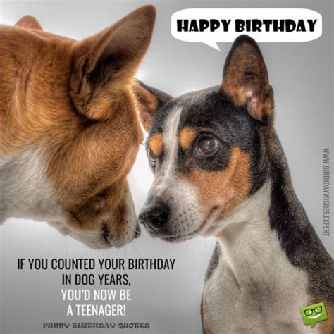 Sarcastic Birthday Wishes Funny Messages For Those Closest To You