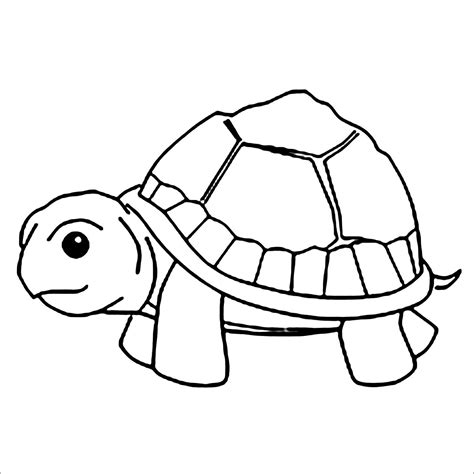 turtle coloring pages coloringbay