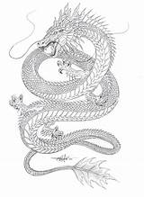 Dragon Water Coloring Eastern Drawings 63kb 1048px sketch template