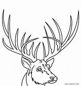 Deer Antlers Hirsch Hirschgeweih Antler Cool2bkids sketch template