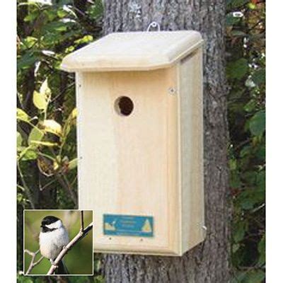 chickadee house nesting boxes nesting box chickadee