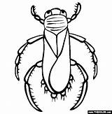 Insect Bug Insects Aphids Madelyn Designlooter sketch template