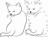 Connect Dot Dots Cats Cat Looks Back Worksheet Printable Pdf sketch template