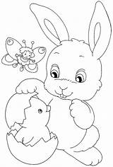 Stampare Coniglio Easter Pasqua Coniglietto Conigli Pasquali Pulcino Colombe Ricamo Libri Scarpe Facili Collorare Regardsdefemmes Gatto sketch template