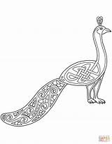 Celtic Peacock Coloring Pages Color Designs Printable Drawn Style Drawing sketch template