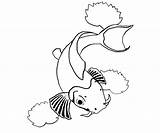 Fish Outline Coy Coloring Pages sketch template