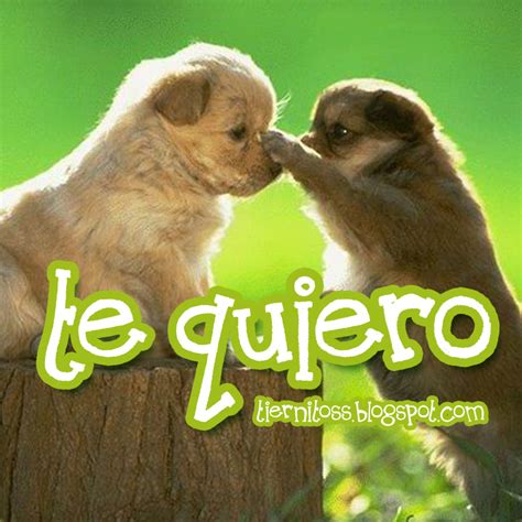 imagenes de perritos diciendo te quiero tiernitos imagenes