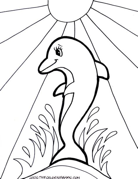 cute baby dolphin coloring pages coloring coloring pages baby dolphins