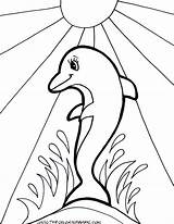 Dolphins Delphine Getdrawings Ausmalbilder Octopus Ausmalbild Football Everfreecoloring Colorings sketch template