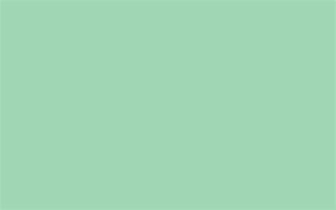 turquoise green solid color background