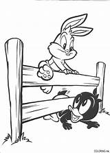 Coloring Pages Tunes Baby Looney Daffy Duck Bunny Bugs Climb sketch template