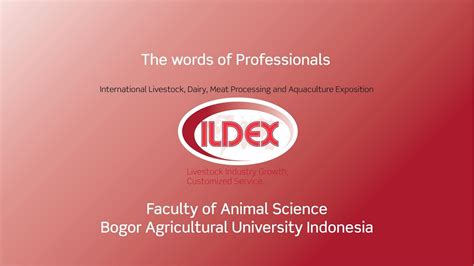 review ildex indonesia  anuraga jayanegara youtube