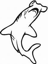 Martello Squalo Hammerhead Hammerhai Pesce Stampare Disegno Requin Squali Animali Fische Coloriages Pesci Limone Malvorlage Kategorien sketch template
