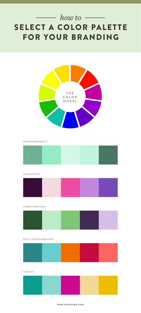 select  color palette   branding spruce