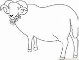 Sheep Ram Coloring Blackface Pages Coloringpages101 Kids Color Animals Online sketch template