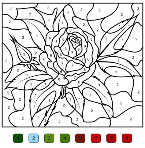 color  numbers  coloring pages