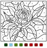 Number Color Coloring Pages Numbers Printable Beautiful Flowers sketch template