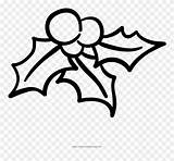 Mistletoe Getdrawings Pinclipart Clipground Clipartkey sketch template
