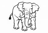 Elefante Elefantes Sabana sketch template