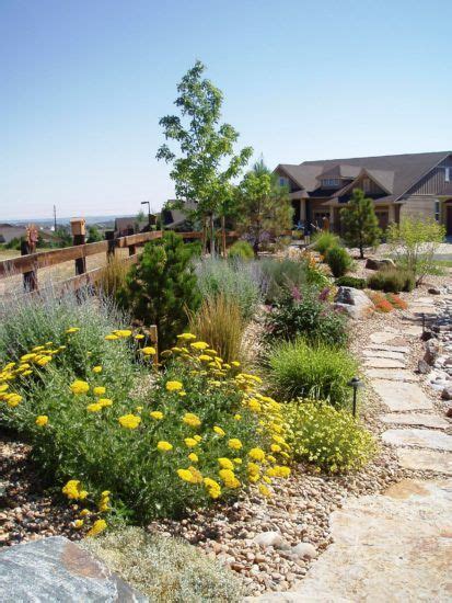 denver softscapes  xeriscapes landscape connection award winning