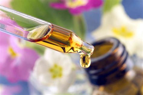 common types  side effects  essential oils