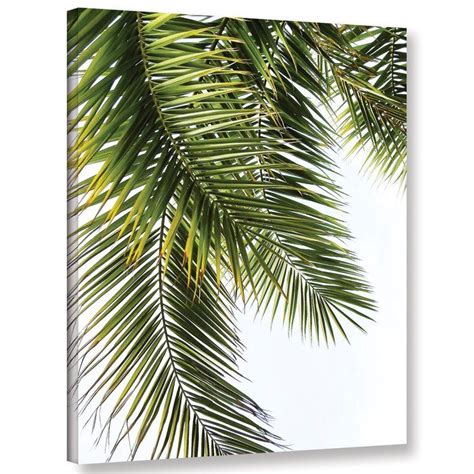 palm leaves graphic art print  canvas palm leaves graphic art