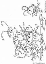 Bichos Bugs Desenhos Inseto Colorir Colorat Insecto Ant Ants sketch template