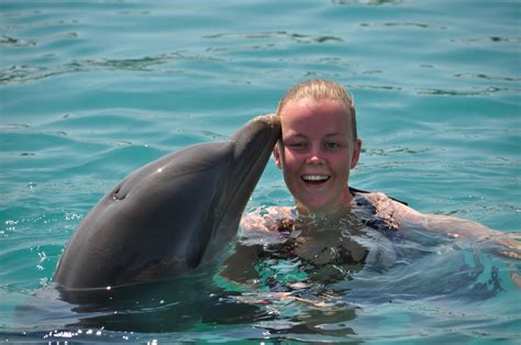 kussende dolfijnen  curacao prachtig curacao